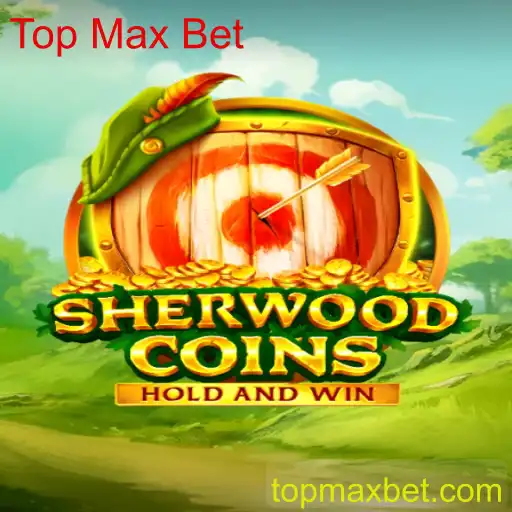 SherwoodCoins: O Fascinante Mundo das Apostas Máximas